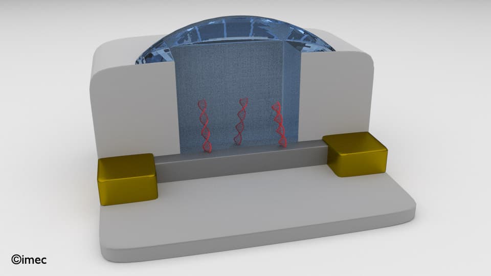 3D cross-section