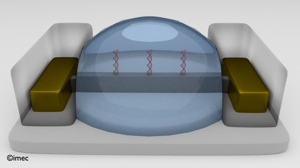 3D finFET biosensor