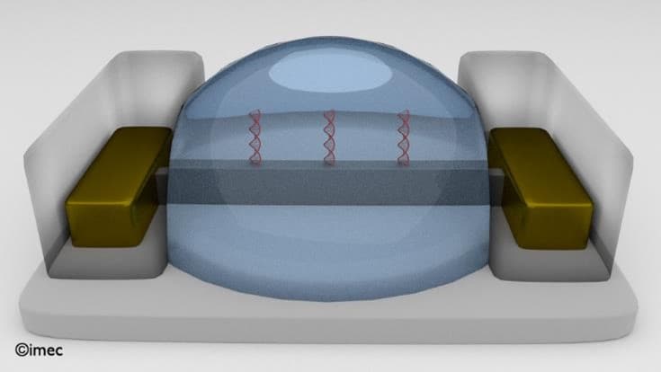 finFET biosensor