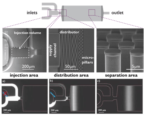 Proteomics sample preparation