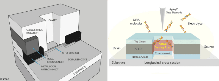 Bio-finFET_nanowell-FET