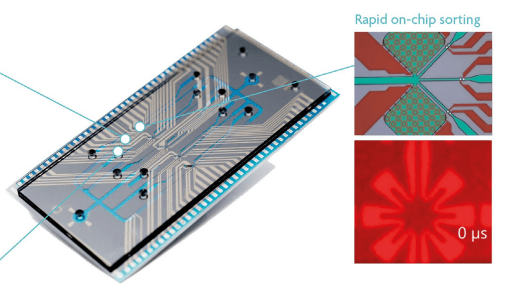 First use of cell sorter technology in a clinical setting