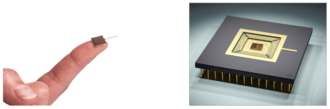 Neuropixels probe and chip