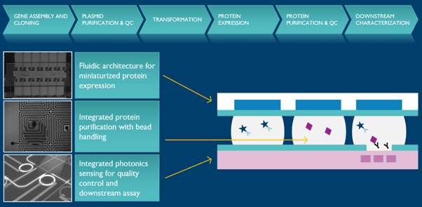 multi-parameter biosensing