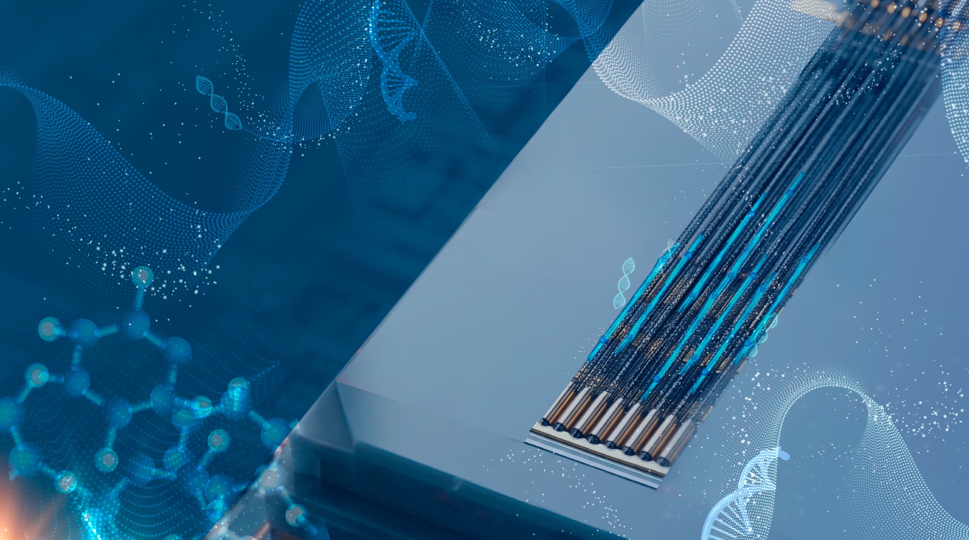 carbon nanotubes header