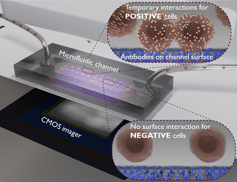 microfluidic surface modifications 