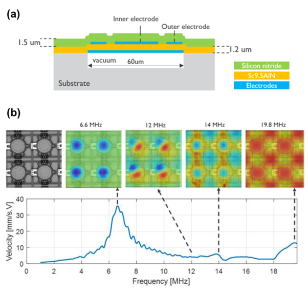 Investigation of the Dynamics of Coupling in Piezoelectric Micromachined Ultrasonic Transducers (PMUTs) Arrays 