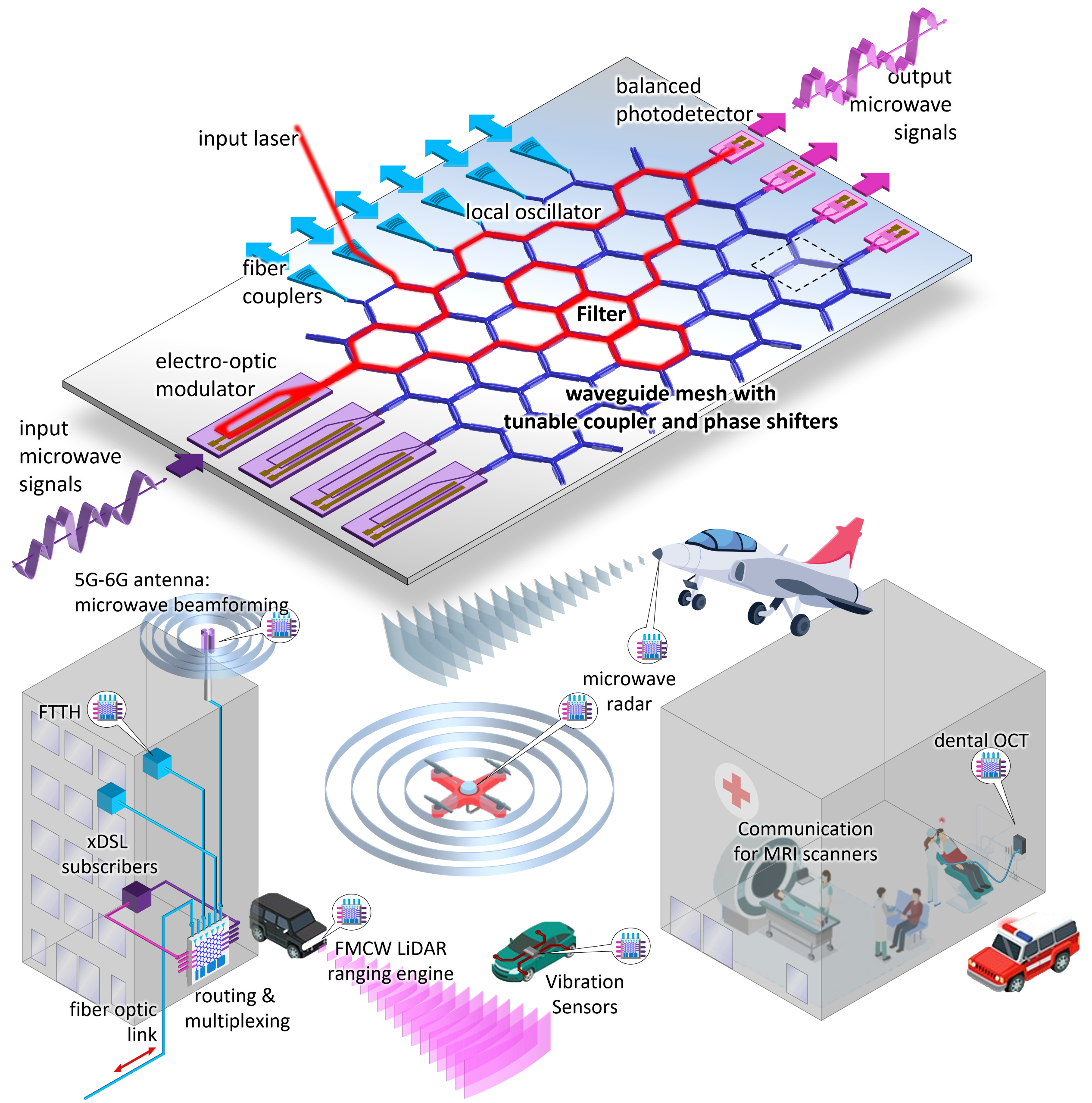 Programmable Microwave Photonic Signal Processors